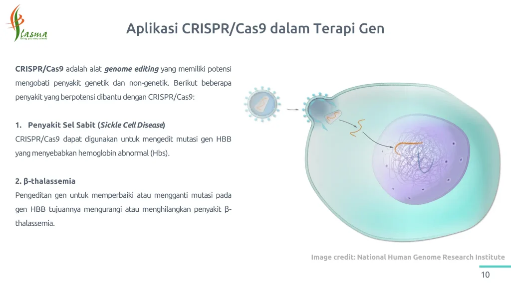 Etika Dan Potensi Crispr Dalam Menyembuhkan Penyakit Genetik Menjelajahi Batasan Ilmiah Dan Moral