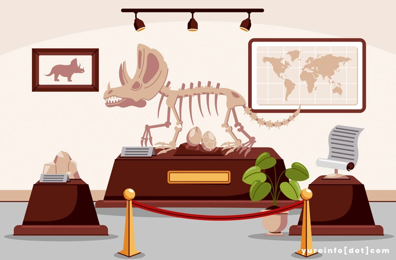 Manfaat Berwisata Ke Museum Sebagai Media Belajar Sejarah Menguak Jendela Masa Lalu Yang Hidup