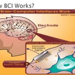 Membaca Pikiran Sejauh Mana Perkembangan Brain Computer Interface Bci