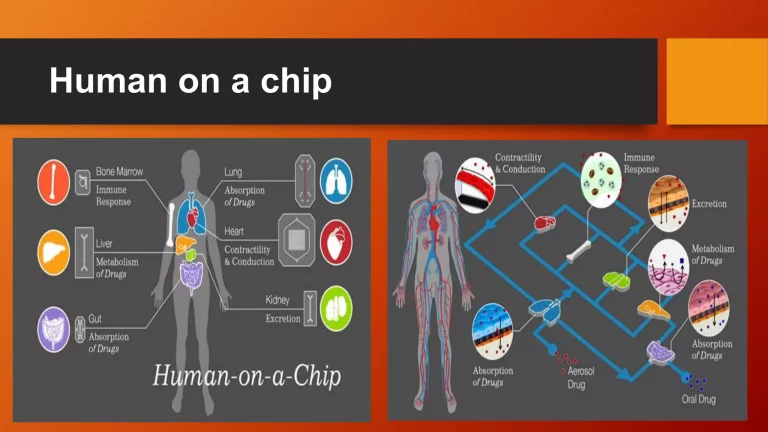 Mengenal Organ On A Chip Pengujian Obat Tanpa Membutuhkan Hewan Uji